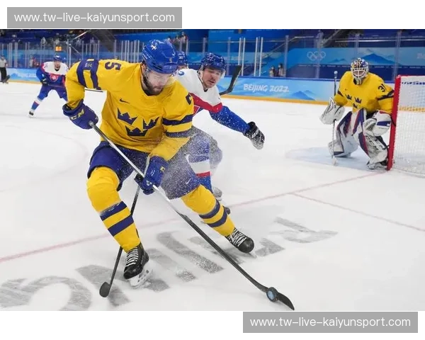 冰球场上的巅峰对决：俄罗斯与斯洛伐克的历史恩怨与未来展望